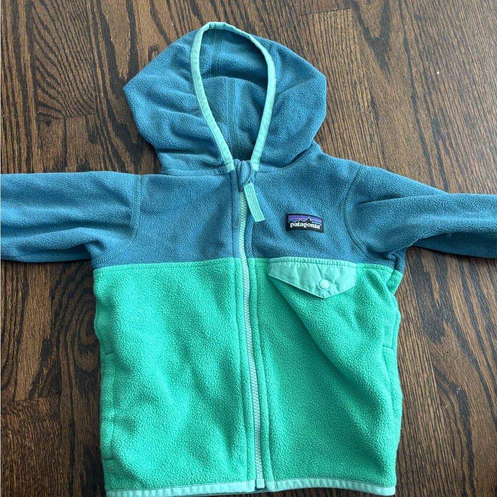 Patagonia Teal and Aqua Fleece Hoodie